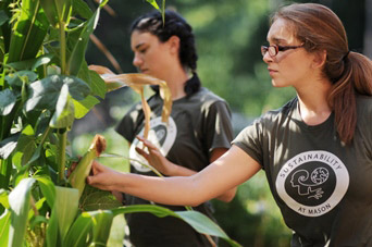 Students in one of our organic gardens