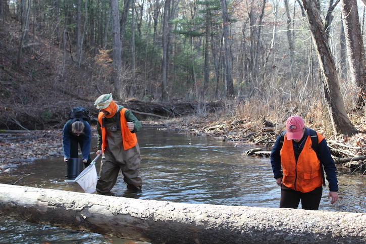 Two SMSC research students and a Turtle Conservation Ecology intern surveying for Wood Turtles in Virginia. Photo credit: Jessica Meck